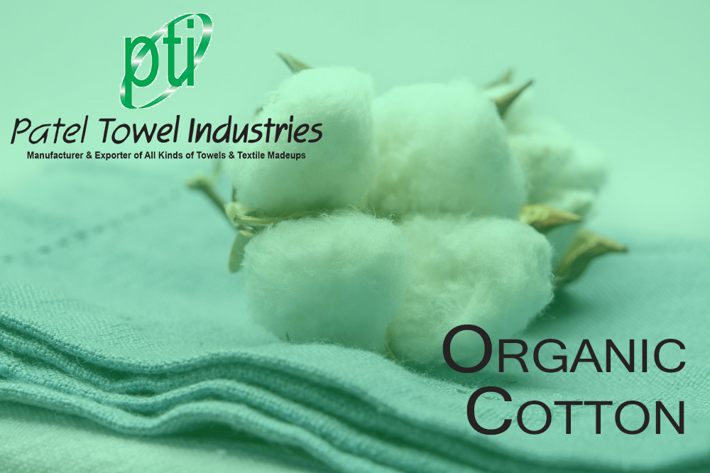 Organic Cotton